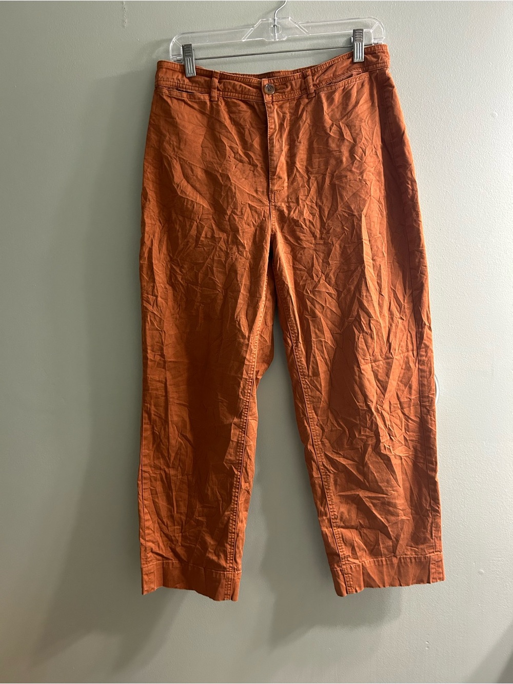 Everlane curved canvas pants mid rise
